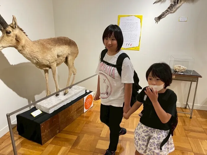 放課後等デイサービスぽかぽか岡宮/ふじのくに地球環境史ミュージアム🌏