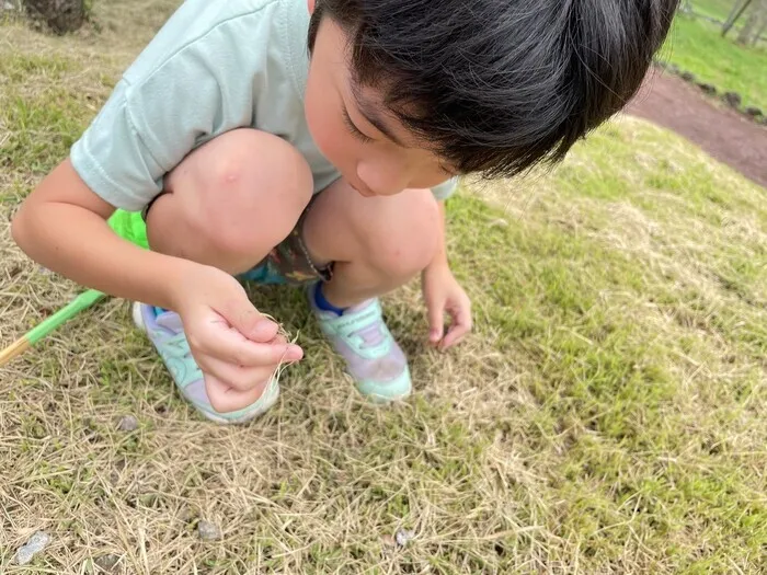 放課後等デイサービスぽかぽか岡宮/🦗虫とりブーム✨