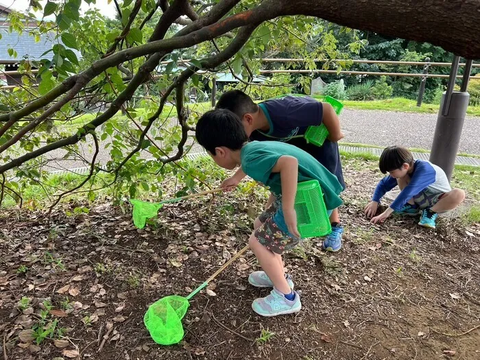 放課後等デイサービスぽかぽか岡宮/秋の虫探し🦗✨