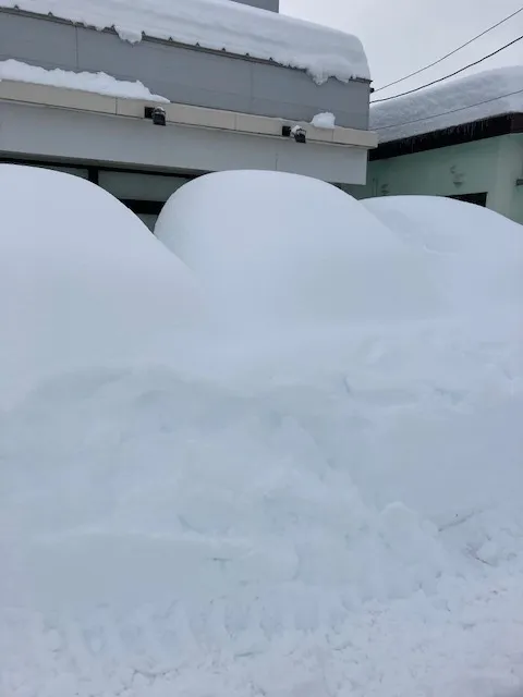 みなぽっけ帯広/記録的大雪の顛末❄☃その3～2/5（水）送迎車はどこへ・・・