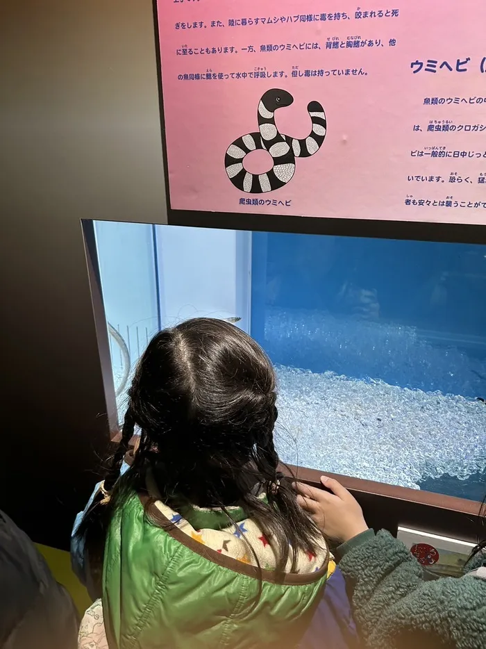 スマイル/水族館にいこう🐬