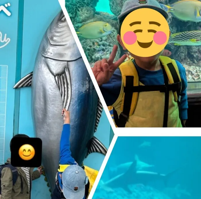 【送迎あり】キッズファースト西馬橋/☆葛西臨海水族園へ行ってきました☆