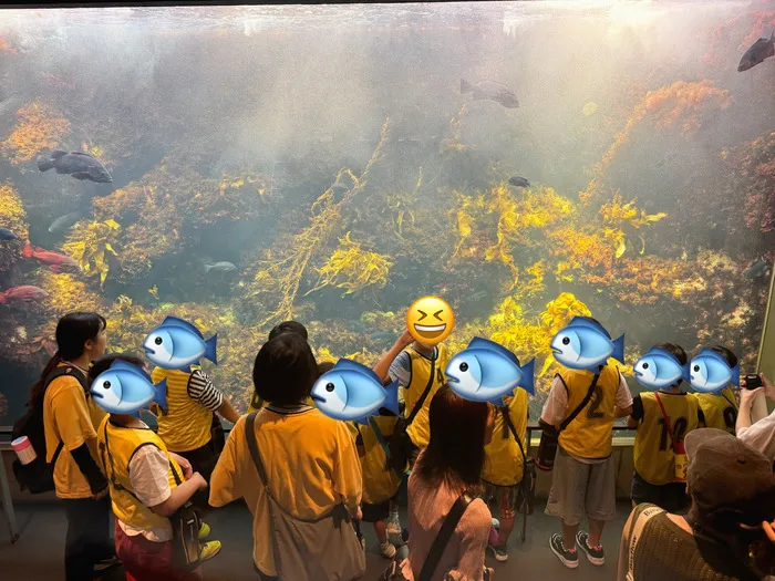 2023年7月OPEN！【柏市 / 松戸市 / 送迎有り】　じぃあい 南増尾/水族館イベント🐟