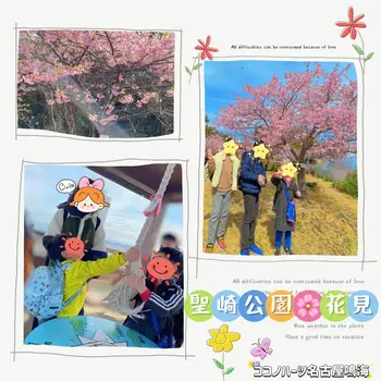 ココノハーツ 名古屋鳴海教室/🌸河津桜を見に行きました😊