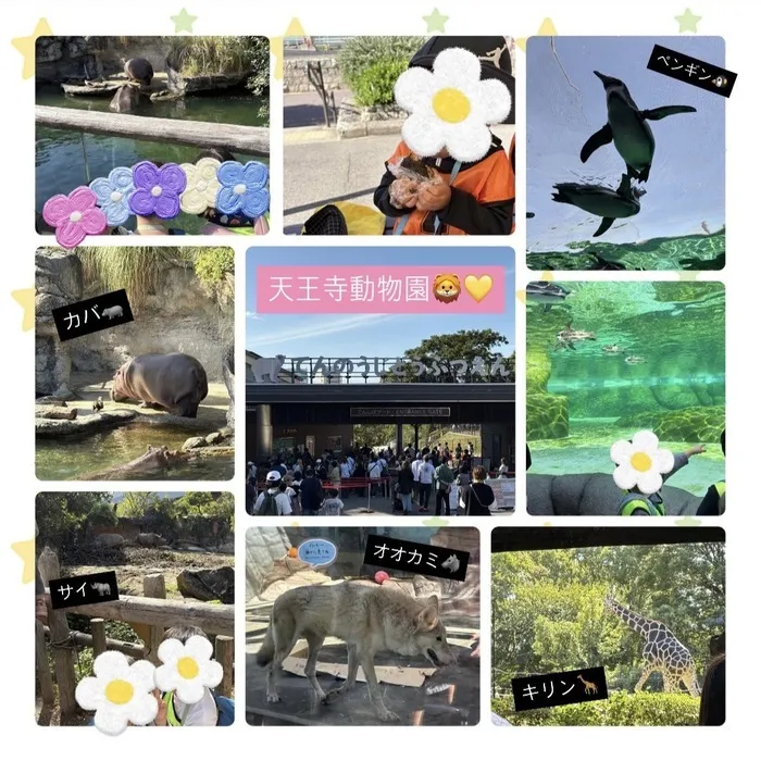 放課後等デイサービス　ワンスタープロド/天王寺動物園🦁💛✨ ※土日祝営業 送迎あり