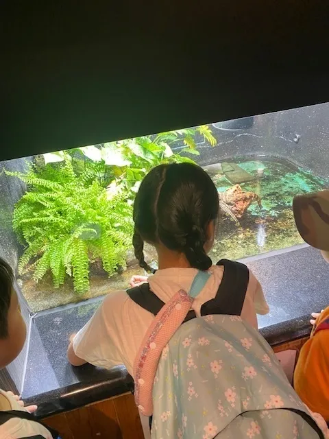 ふくしのなら/動物園内の爬虫類を