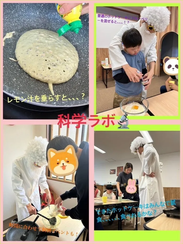 WONDER FULL/【わんだふる】科学ラボ🥞