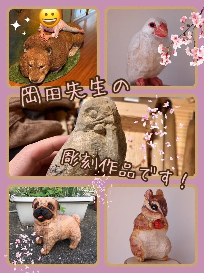 WONDER FULL/【わんだふる】岡田先生の作品🦉