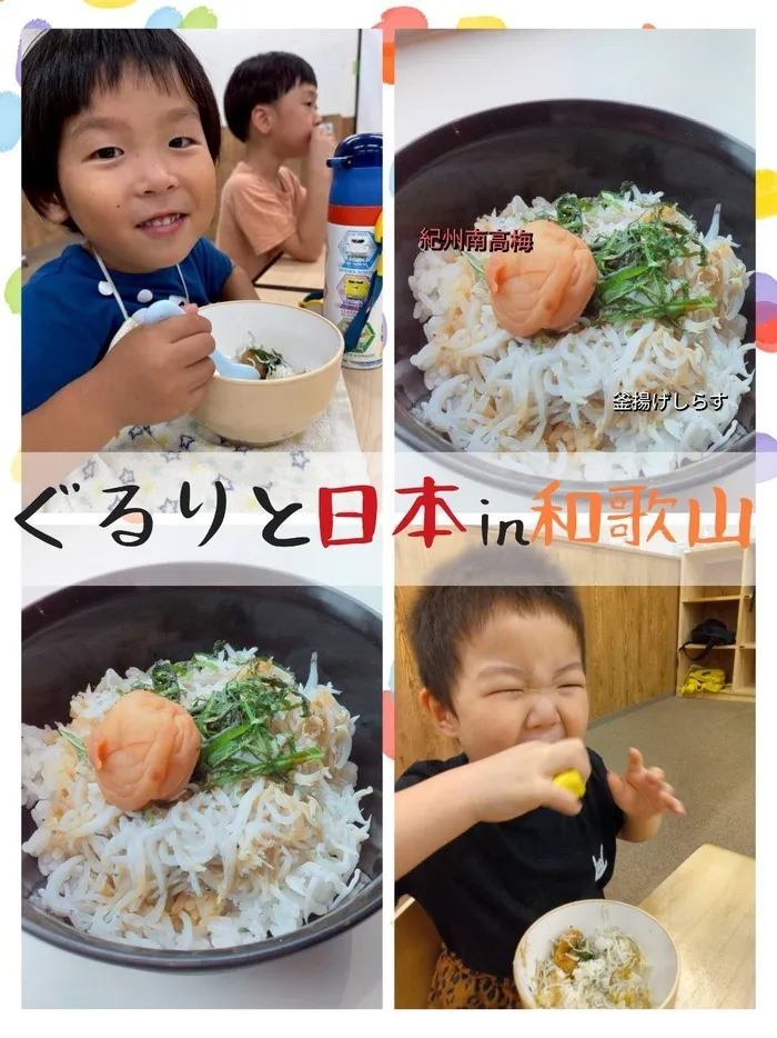WONDER FULL/【わんだふる】しらす丼
