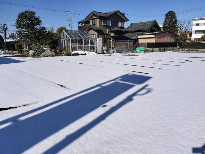 ふれあい児童発達支援・放課後等デイサービス　南行徳教室/雪