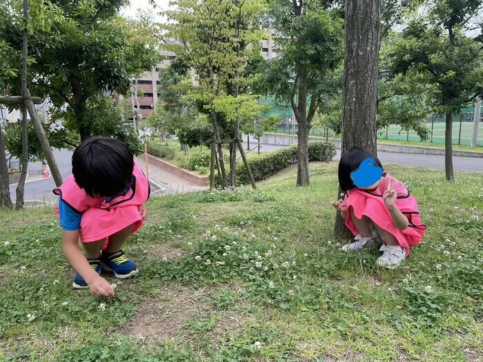 ふれあい児童発達支援・放課後等デイサービス　南行徳教室/四つ葉