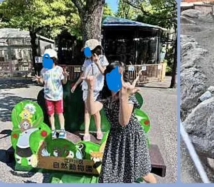 ふれあい児童発達支援・放課後等デイサービス　南行徳教室/自然動物公園