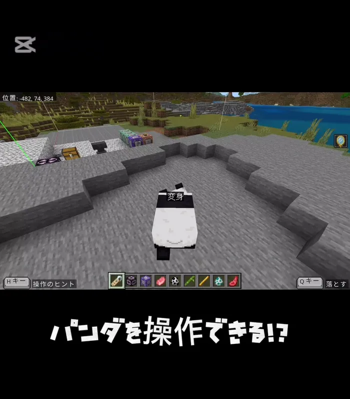 プログラミング療育放デイ エスタシオン 木更津教室/エスタシオン　木更津　マインクラフトの活動　コマンドブロック