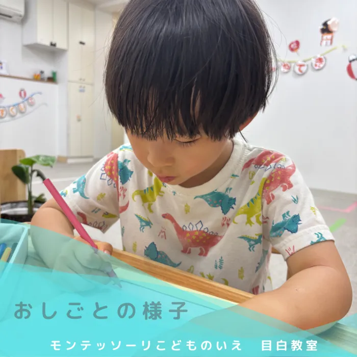 モンテッソーリ　こどものいえ　目白教室/モンテッソーリ教育✨～鉄製はめこみの活動✨～