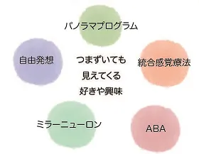 ココチムスタディ/プログラム内容