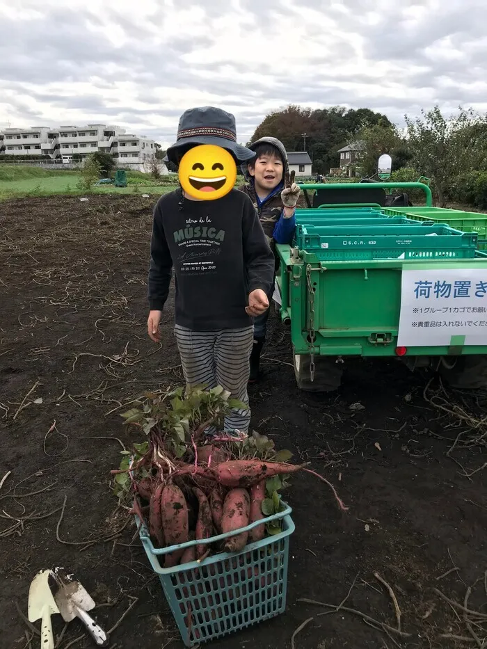 こぱんはうすさくら横浜本牧教室/さつまいも掘り