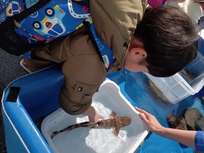 こぱんはうすさくら横浜本牧教室/新江ノ島水族館