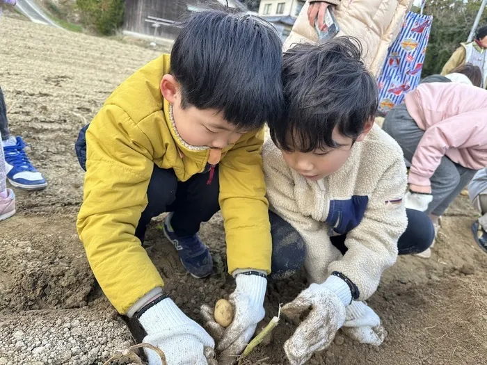 unico 北九州/じゃがいも掘り体験🥔