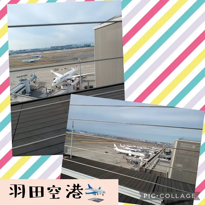 ウィズ・ユー仲町台/羽田空港✈️