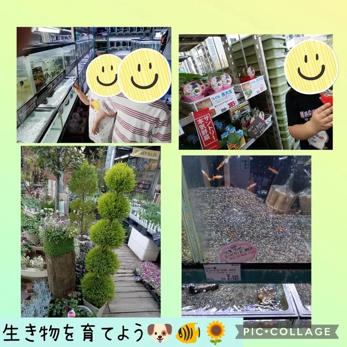 ウィズ・ユー仲町台/生き物を育てよう🐶🐠🌼