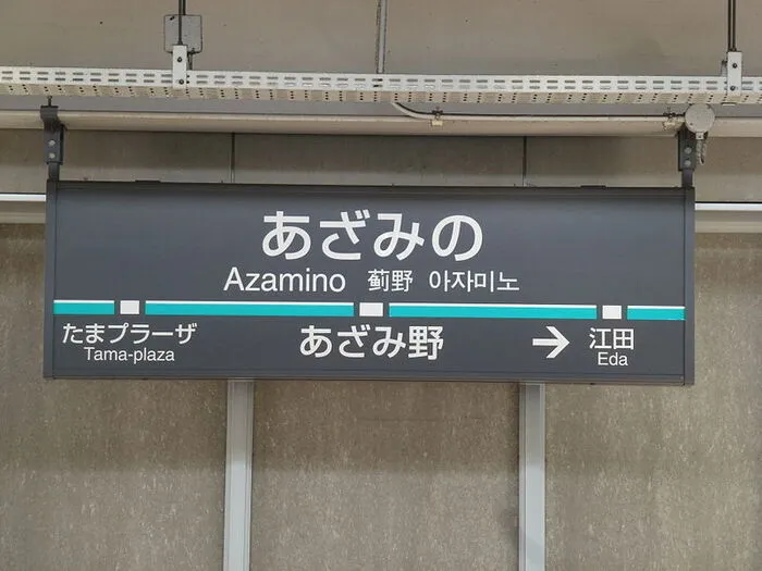 ウィズ・ユー仲町台/電車に乗る練習をしよう🚃