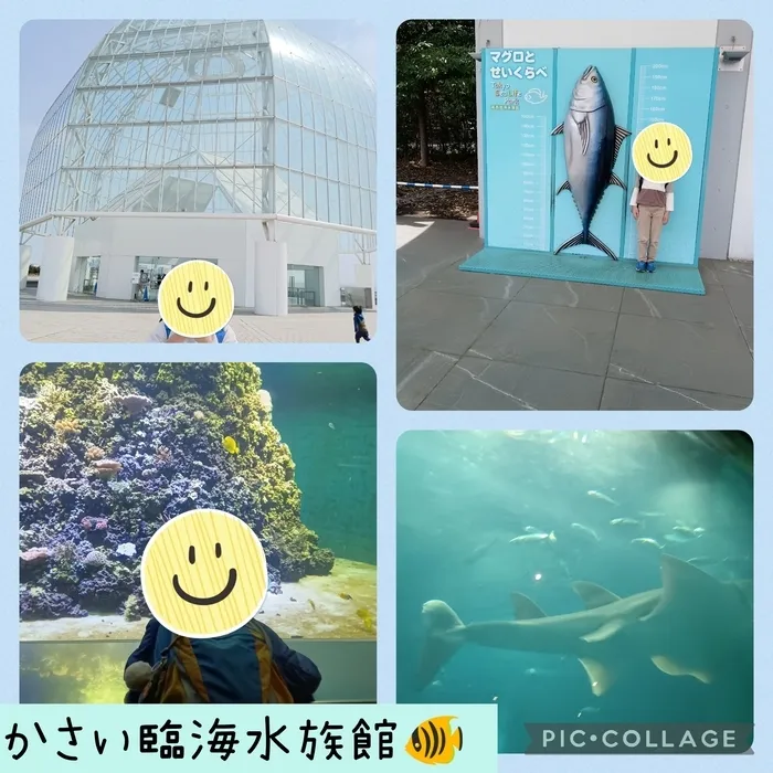 ウィズ・ユー仲町台/葛西臨海水族館🐠