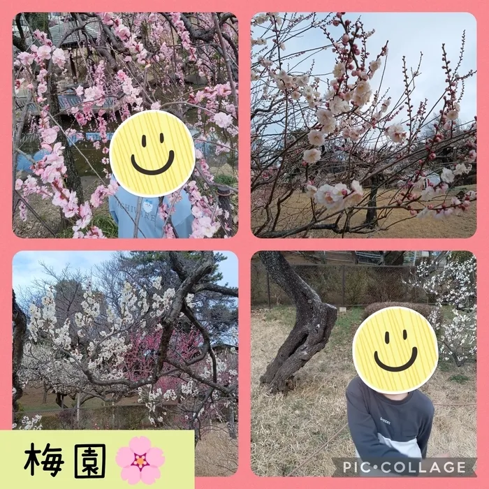 ウィズ・ユー仲町台/🌸梅園を見に行こう🌸