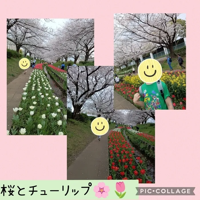 ウィズ・ユー仲町台/桜とチューリップ🌸🌷