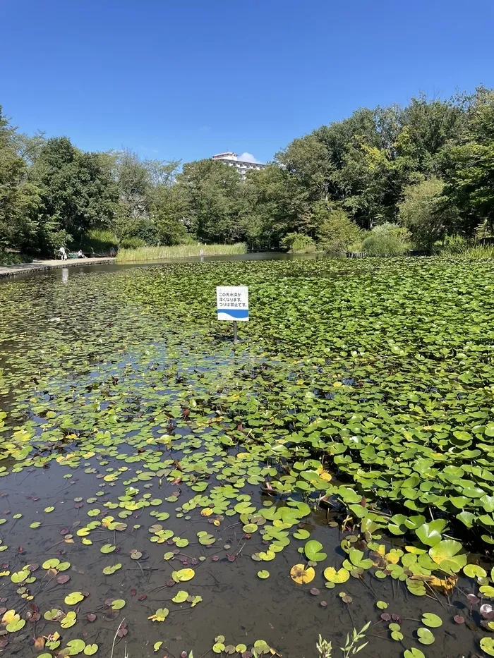 ウィズ・ユー仲町台/★公園の下見へ★