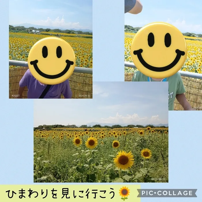 ウィズ・ユー仲町台/ひまわりを見に行こう🌻