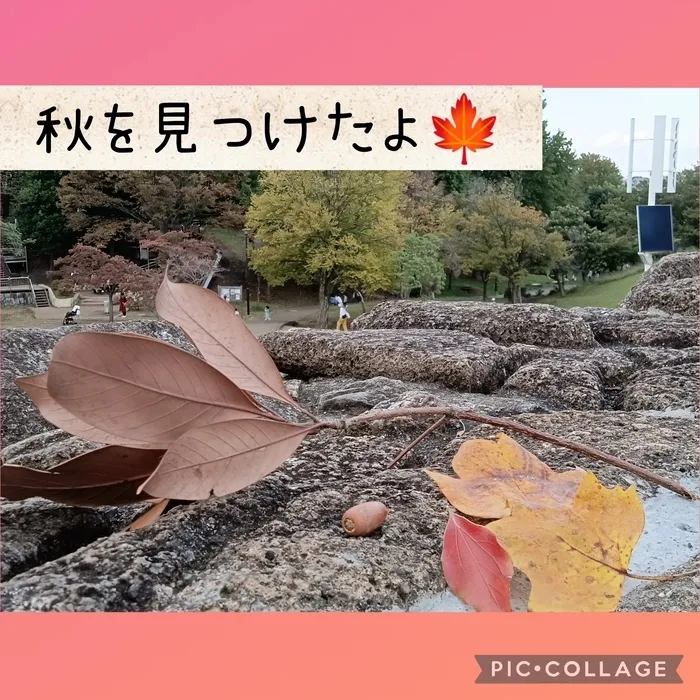 ウィズ・ユー仲町台/秋を見つけよう🍁