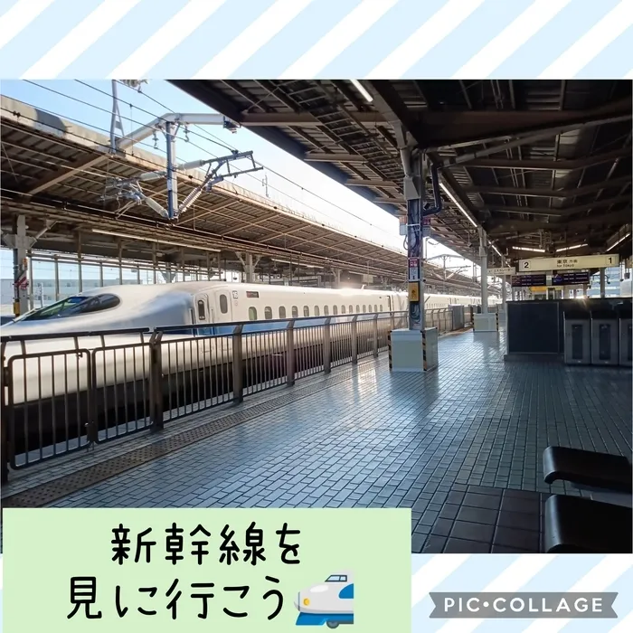 ウィズ・ユー仲町台/新幹線を見に行こう🚅