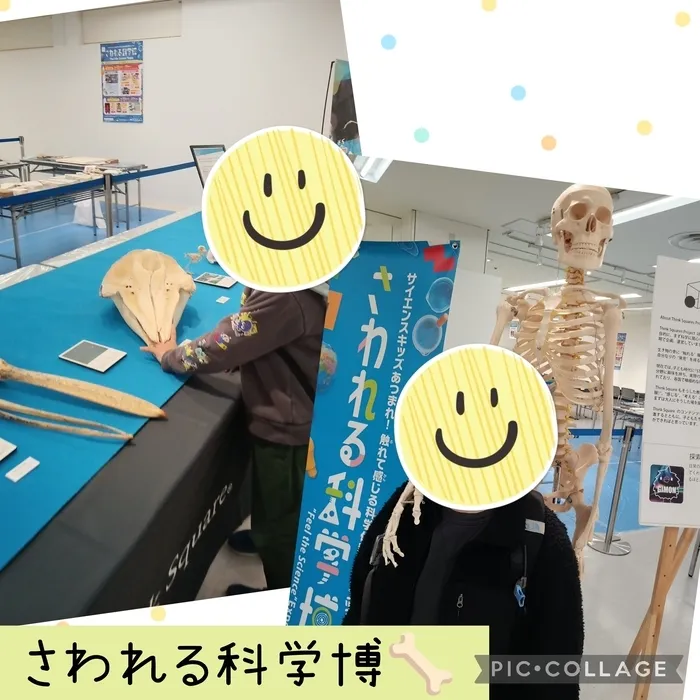 ウィズ・ユー仲町台/さわれる科学博🦴