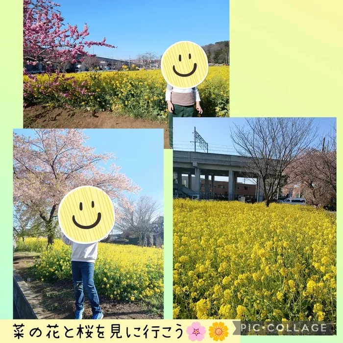 ウィズ・ユー仲町台/菜の花と桜を見に行こう🌸🌼