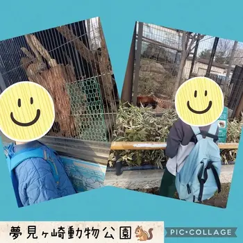 ウィズ・ユー仲町台/夢見ヶ崎動物公園🐿