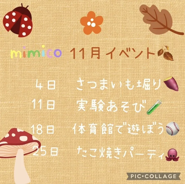 mimico久留米/11月イベント🍂