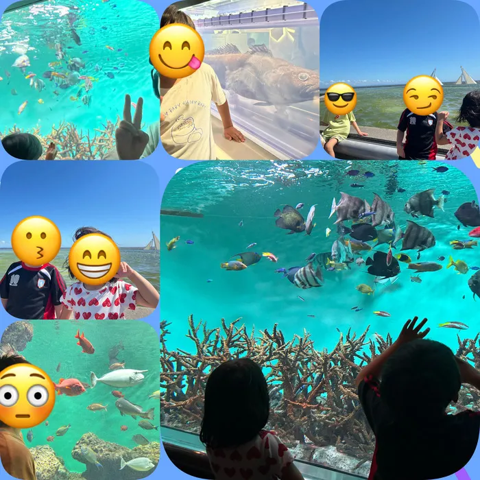 アイビー三郷/葛西臨海水族園🐟🫧