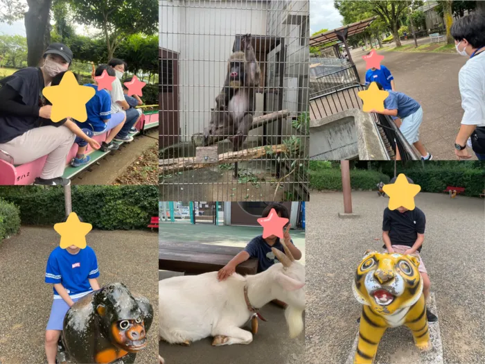 アイビー三郷/夏休みイベント③【市川動植物園】