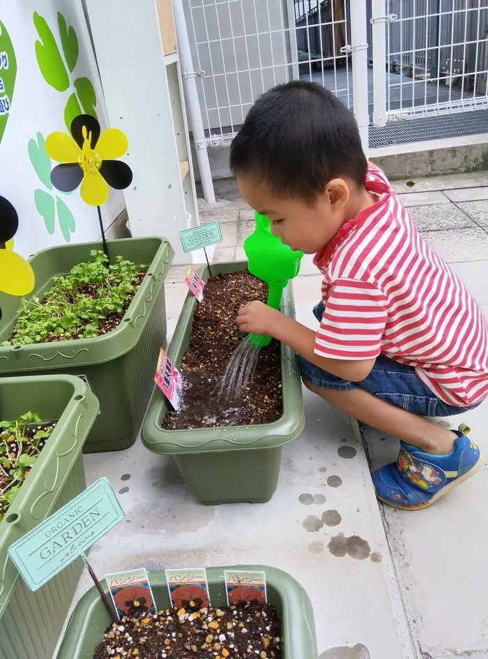 Chou Chou（シュシュ）若干空きあります。集団療育・個別療育ともに充実!!/植物を育てることで五感が養われます!(^^)!