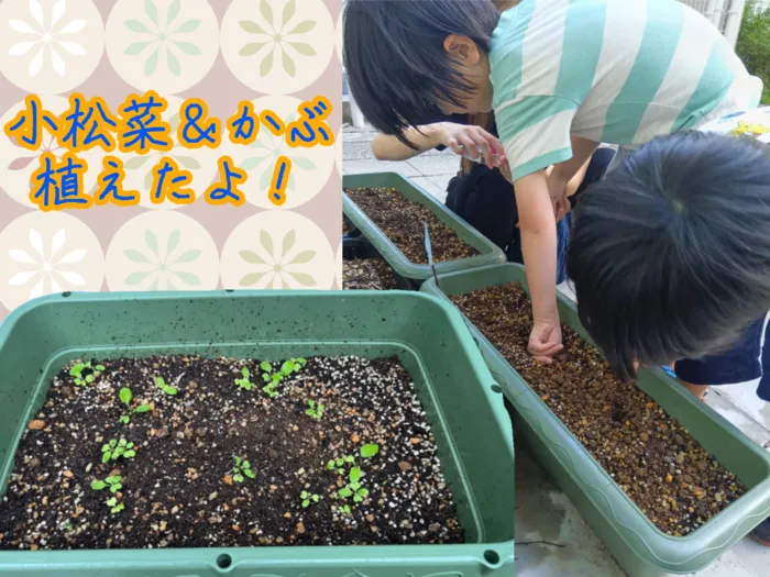 Chou Chou（シュシュ）若干空きあります。集団療育・個別療育ともに充実!!/新たな芽生え🍃