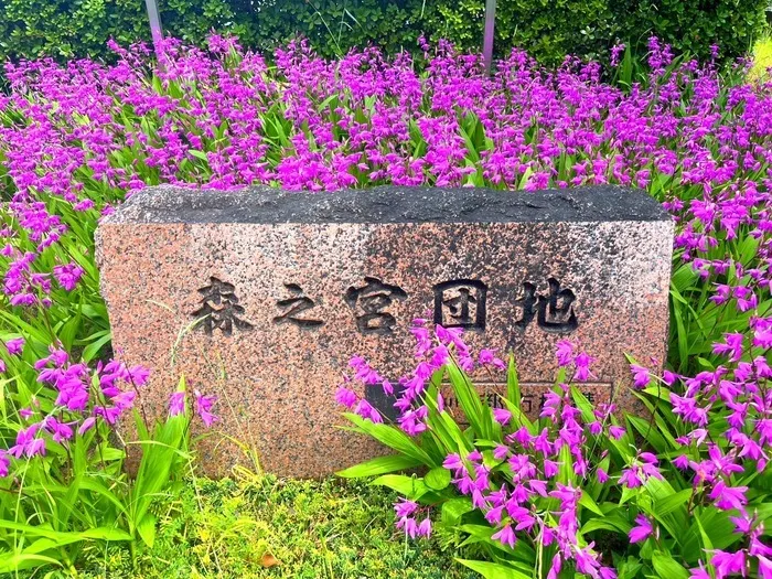 Chou Chou(シュシュ)若干空きあります。集団療育・個別療育ともに充実!!/外部環境