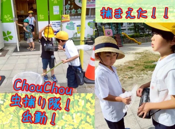 Chou Chou（シュシュ）若干空きあります。集団療育・個別療育ともに充実!!/ChouChou虫捕り隊🦋
