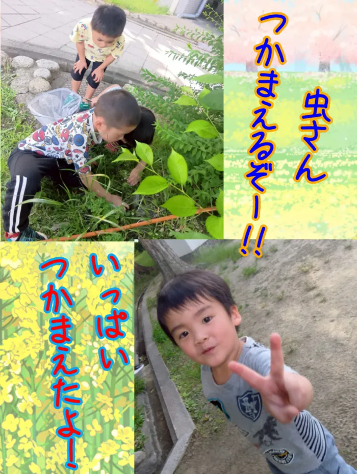 Chou Chou(シュシュ)　若干の空きあります。集団療育・個別療育ともに充実!!/虫さんいっぱい捕まえるぞ！🐜