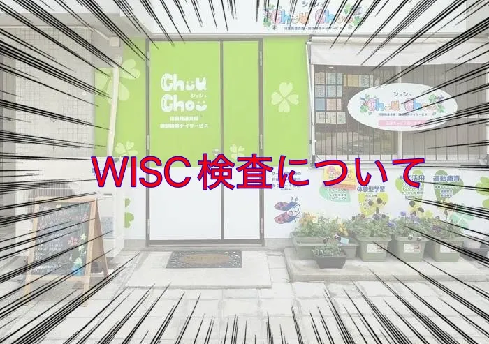 Chou Chou(シュシュ)　若干の空きあります。集団療育・個別療育ともに充実!!/WISC検査について