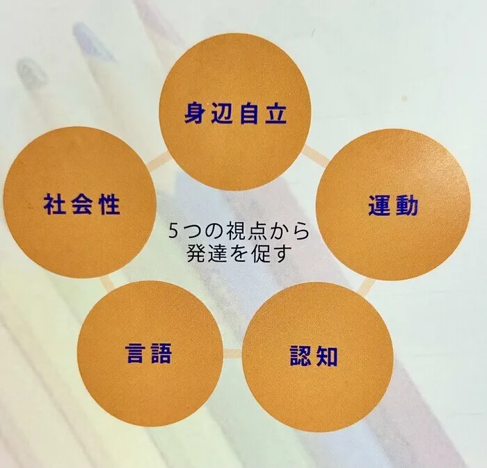 ChicoBote Dos/就学に必要な5つの力　～5つの力から発達を促す～