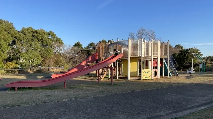 ひまわりキッズ/唐八景公園へ🏃