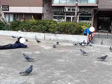 Gripキッズ松戸駅前校/鳩がいっぱい🕊️