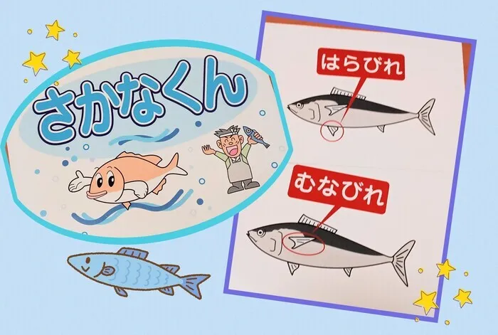 《駐車場完備/０～６歳/平日空きあります！》コペルプラス与野バイパス教室/さかなくん！