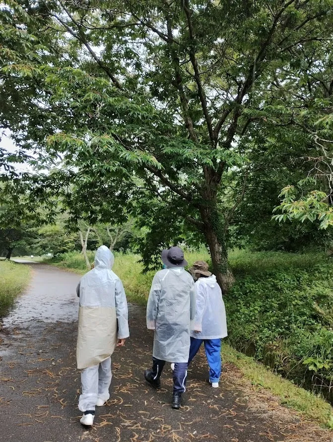 放課後等デイサービスlight/遊木の森を散策しました🌳🍃