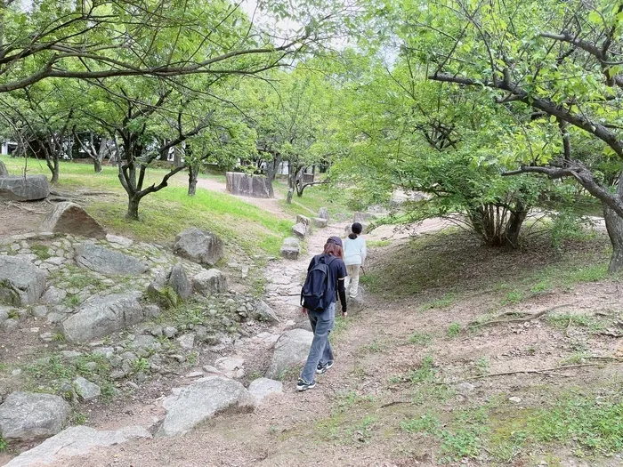 コモンハウス/八木梅林公園⛲️